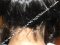 Full lace wig back  hairlines - Not for sale